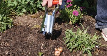 Piantabulbi in giardino: cos’è e come si usa piantabulbi giardino cos'è e come si usa