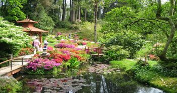 Come realizzare un giardino giapponese giardino giapponese come realizzarlo