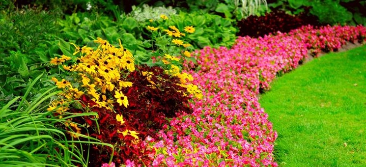 aiuole fiorite fai da te con fiori giardino