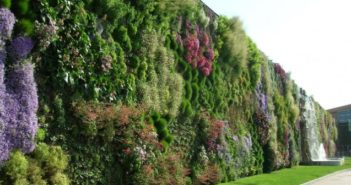 Giardini verticali: cosa sono e come realizzarli giardini verticali cosa sono e come realizzarli
