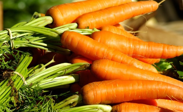 cosa piantare a settembre carote