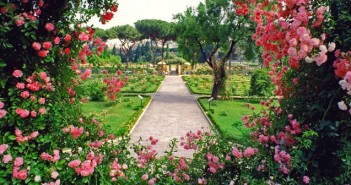 Giardini di rose e piante grasse giardini di rose