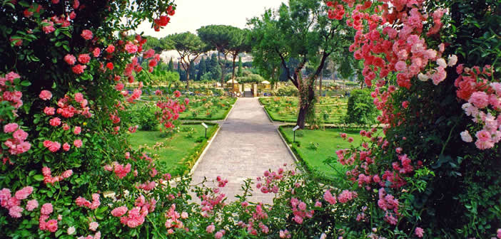 giardini di rose
