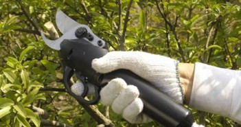 Come scegliere le giuste forbici da giardino forbici da potatura a batteria