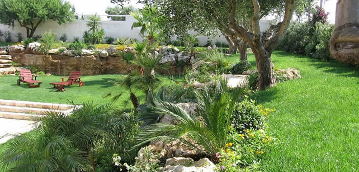 giardino mediterraneo