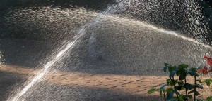 irrigazione roseto