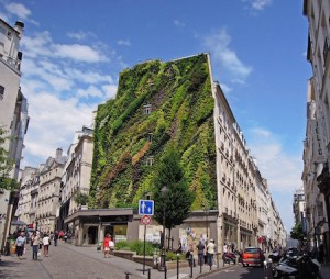 oasis d'aboukir