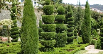 I giardini di Lisbona: polmoni verdi indispensabili giardino botanico lisbona