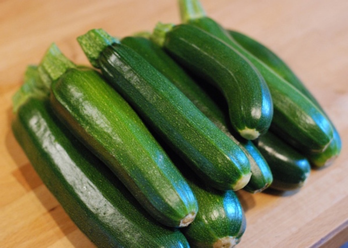 coltivare zucchine in vaso