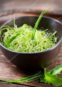 coltivare insalata microgreen