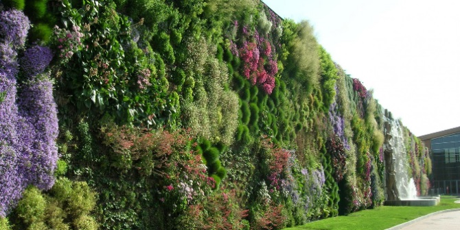 giardini verticali cosa sono e come realizzarli