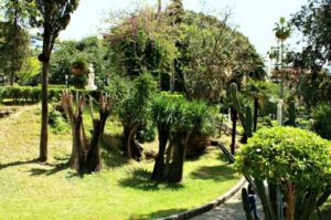 giardino inglese palermo il cuore verde della città