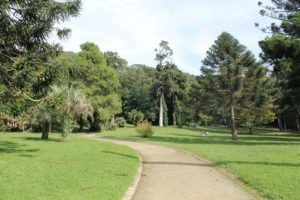 giardino inglese reggia di caserta piante