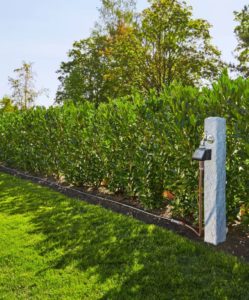 impianto a goccia per siepe giardino orto