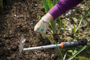 lavori in giardino per estirpare le erbacce infestanti