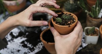 Giardinaggio hi-tec: i migliori gadget ecologici per un prato perfetto giardinaggio