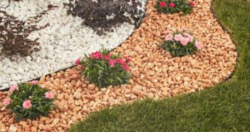 Pacciamatura, cos’è e come utilizzarla nel giardinaggio pacciamatura giardino