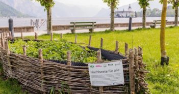 Orti urbani: cosa sono e come coltivarli orto urbano sociale parco