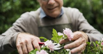 Se ti ritrovi a parlare con le piante e con i fiori non preoccuparti giardinaggio smile uomo