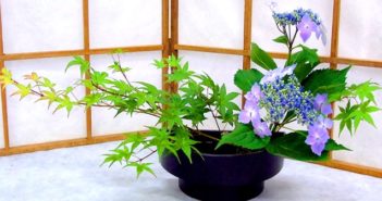 Ikebana, l’arte giapponese di comporre i fiori Ikebana