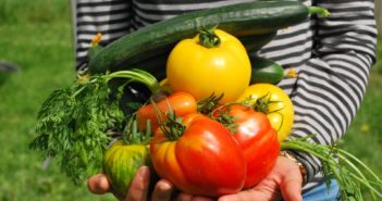 Ortoterapia: gli effetti positivi del giardinaggio sulla salute umana ortoterapia