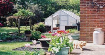 Giardini per cani: come progettare spazi verdi per gli amici a 4 zampe giardino per cane