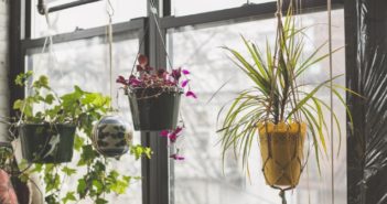 Come realizzare un angolo verde in casa angolo verde in casa