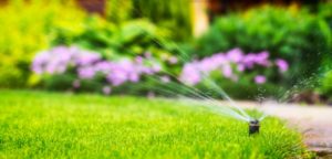 risparmiare acqua in giardino irrigazione